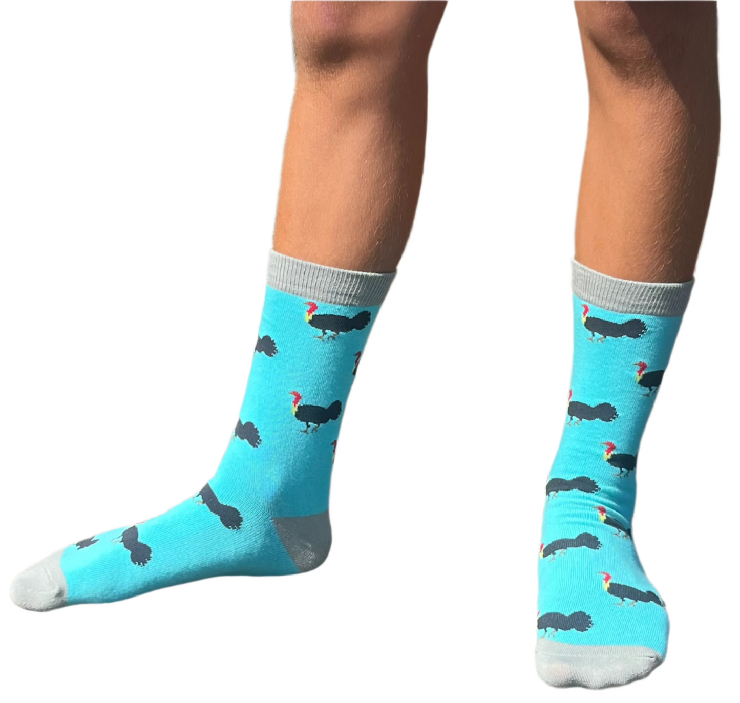 Iconic Aussie Bird 4-Pack