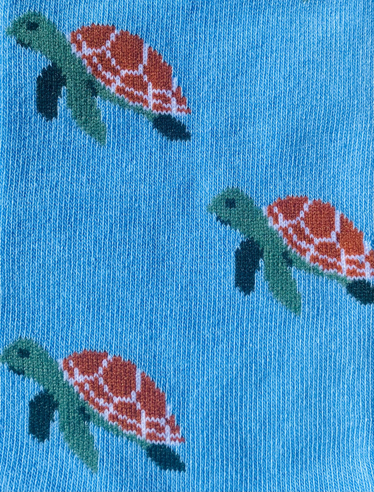 Turtle Socks