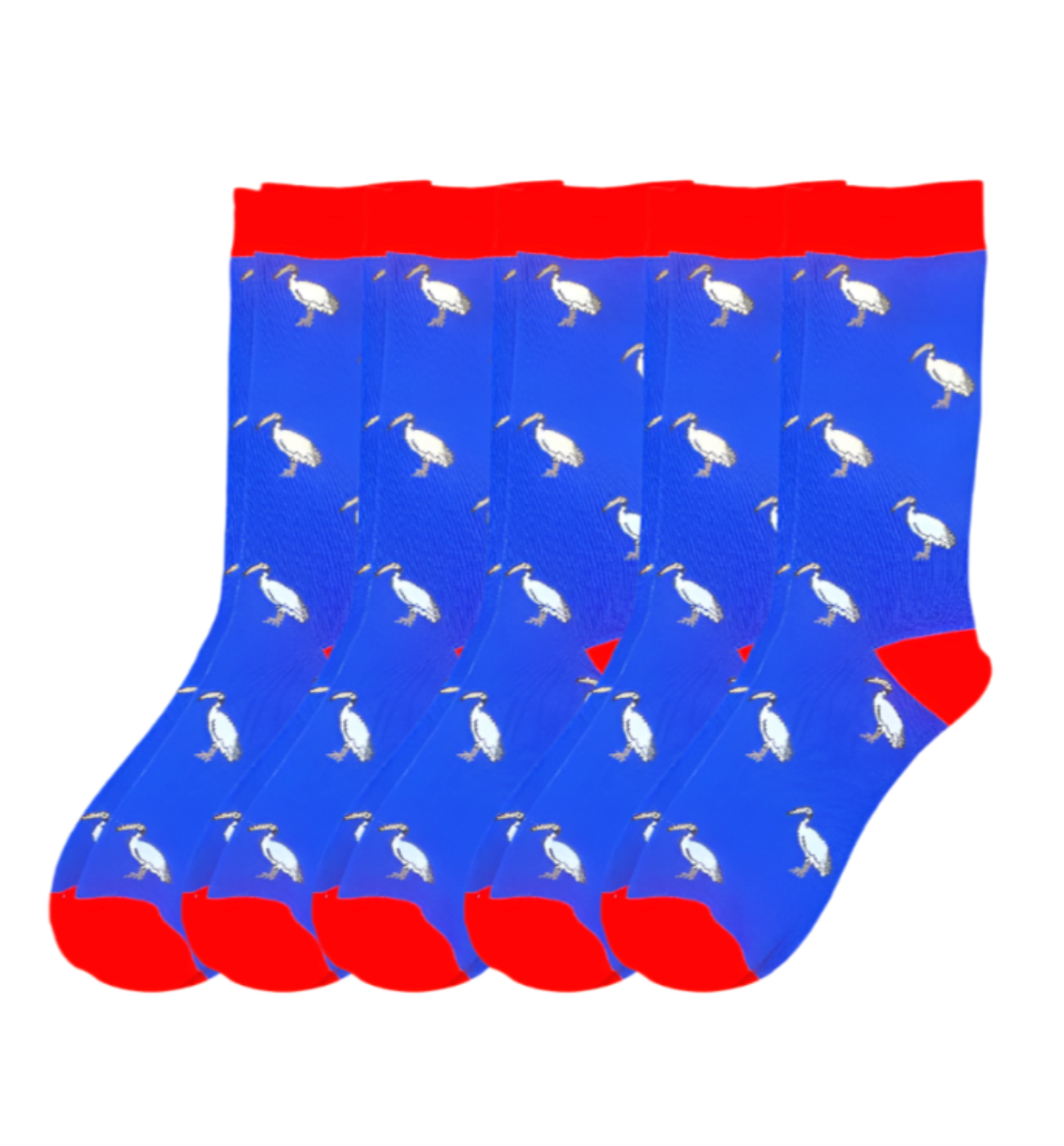 Bin Chicken Socks