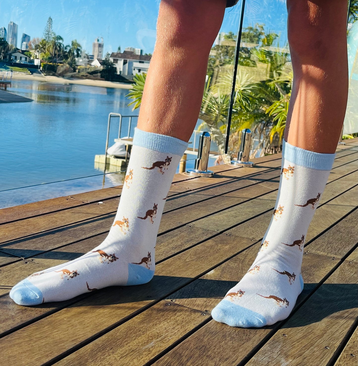 Iconic Aussie Animals Sock 3-Pack