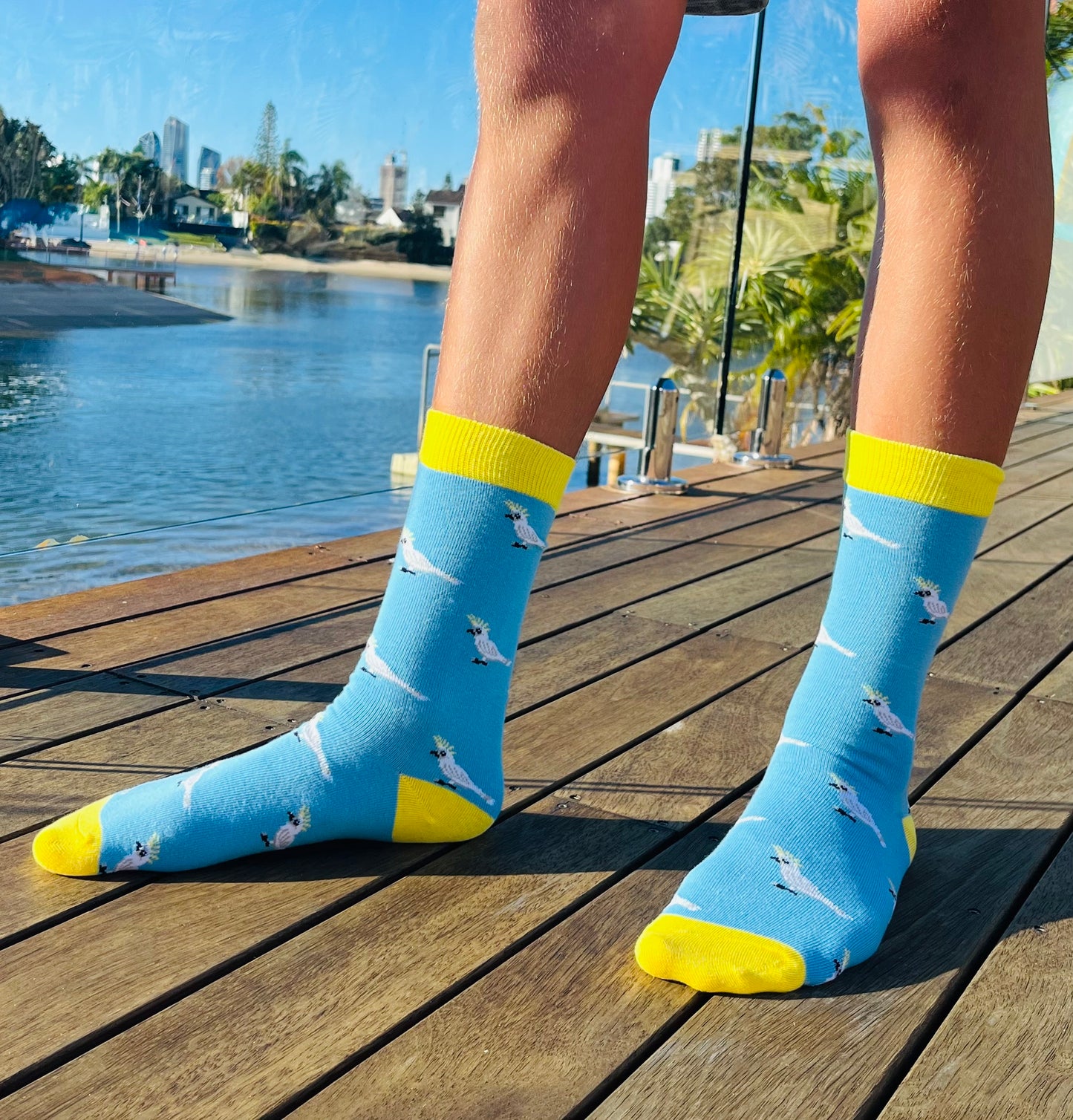 ‘Cocky’ Socks