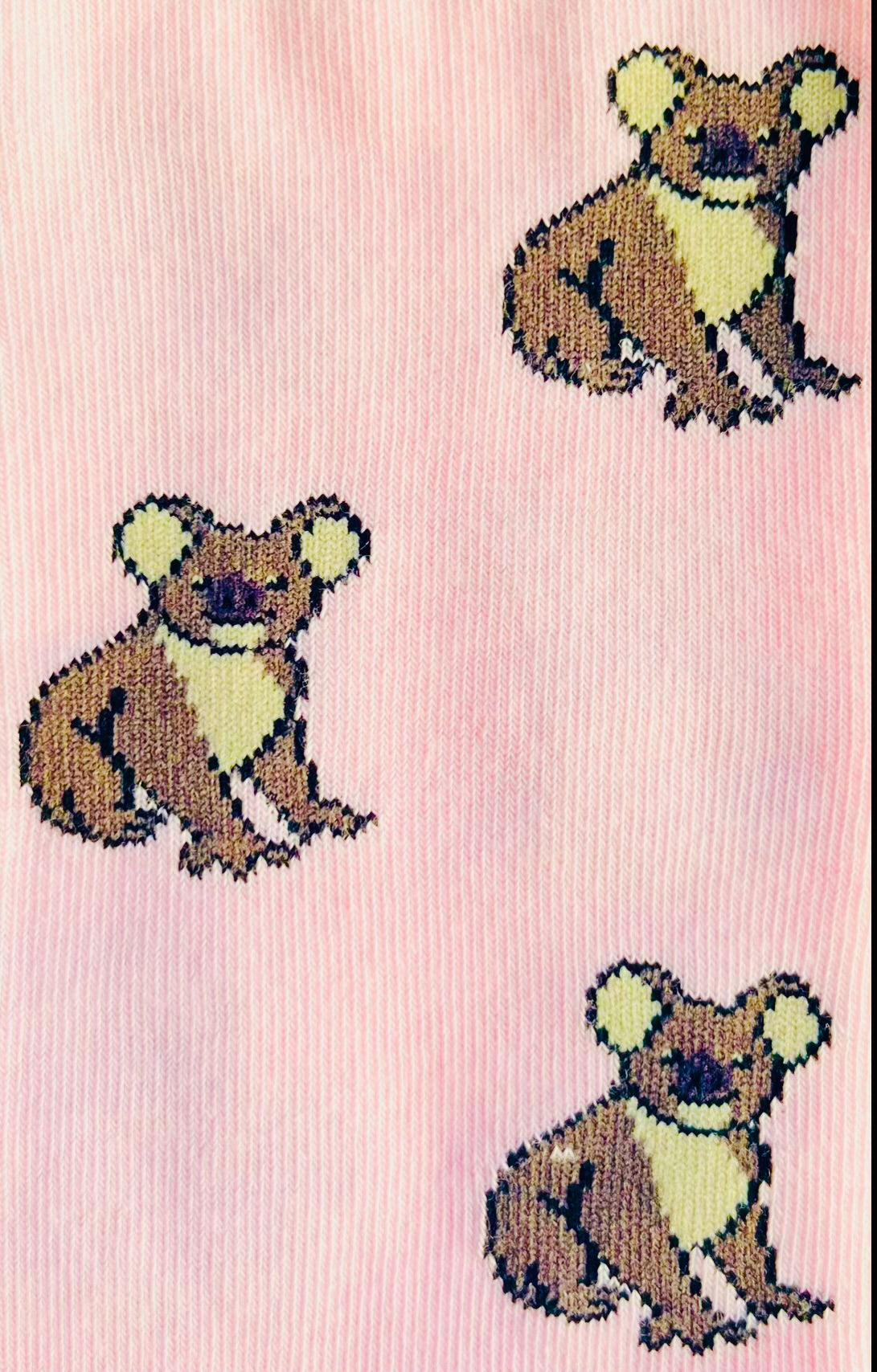 Koala Socks