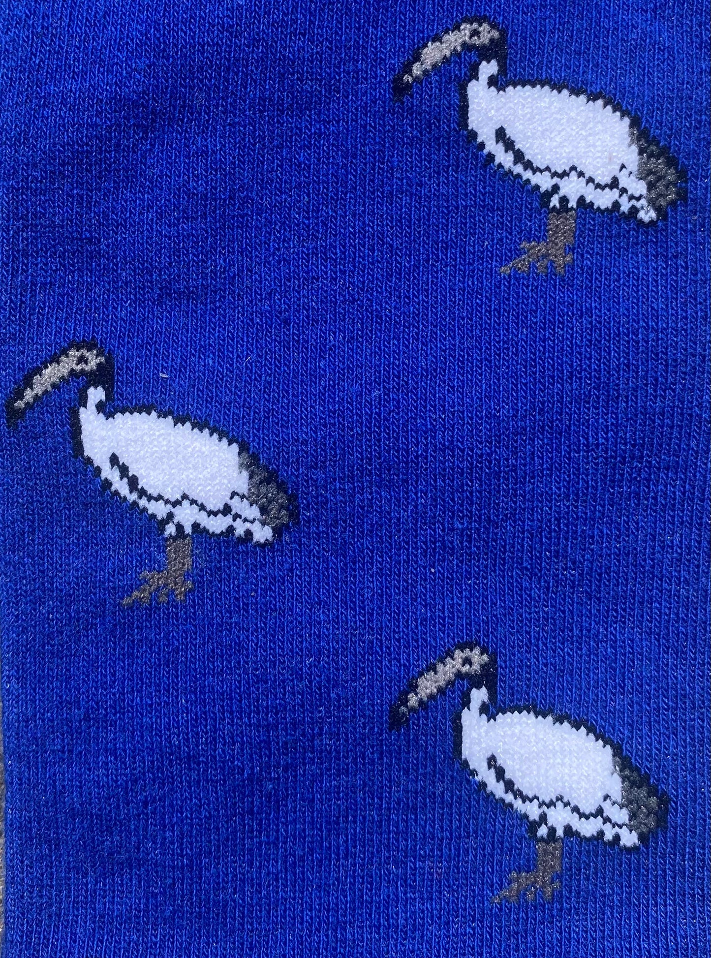 Bin Chicken Socks