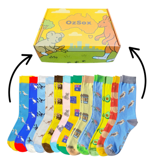 Ultimate Aussie 12 Pack + Gift Box (All Socks)