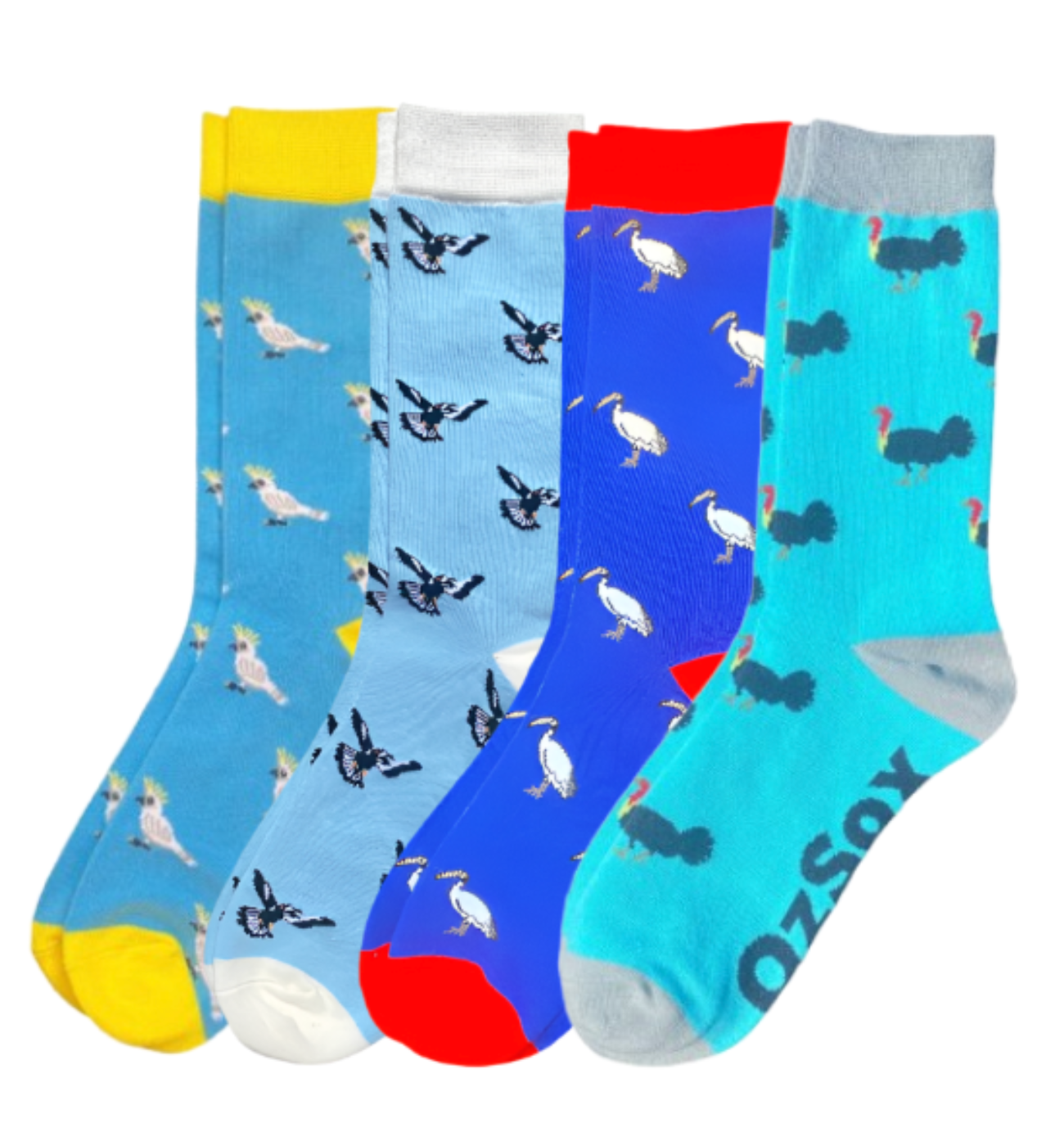 Iconic Aussie Bird 4-Pack